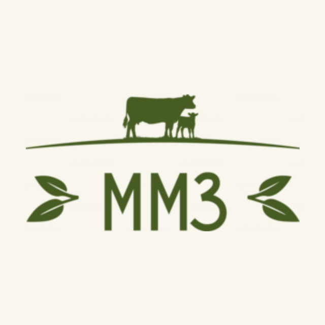 Логотип облигации ММЗ 001P-02, RU000A10B255